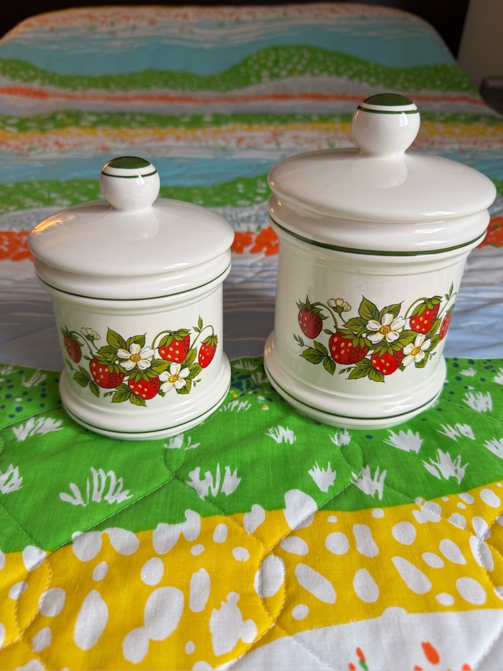Set of 2 vintage Sears strawberry Fields canisters